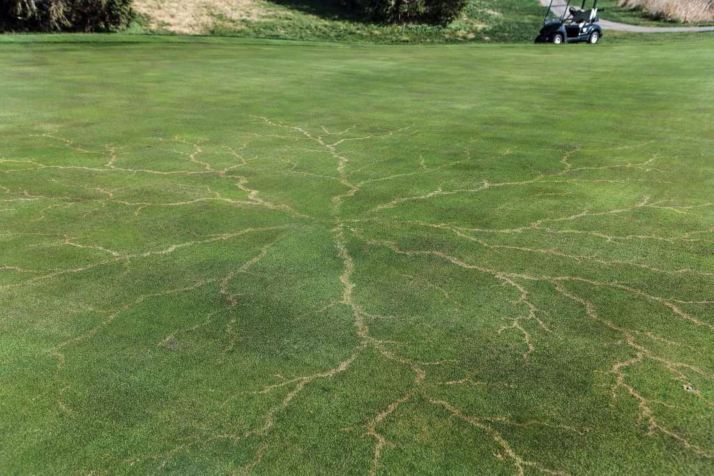 A lightning strike leaves it mark on grass