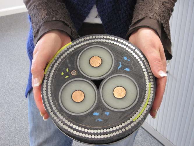 Cross section of an underwater cable