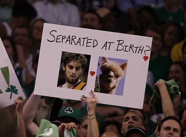 funny lacrosse fan signs - Separated At Birth?