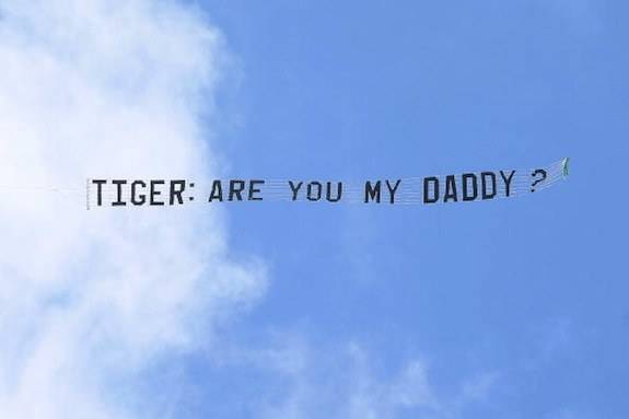 sky - Tiger Are You My Daddy ?