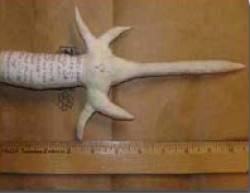 Toilet Paper Shiv - It took an Ohio inmate just a few hours to make this brutal looking shiv out of toilet paper that’s been soaked and pressed together. He never got a chance to use it, but if he had, he easily could have killed someone – then flushed the evidence just as easily.