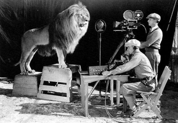 Cameraman recording the lion roar for the MGM logo