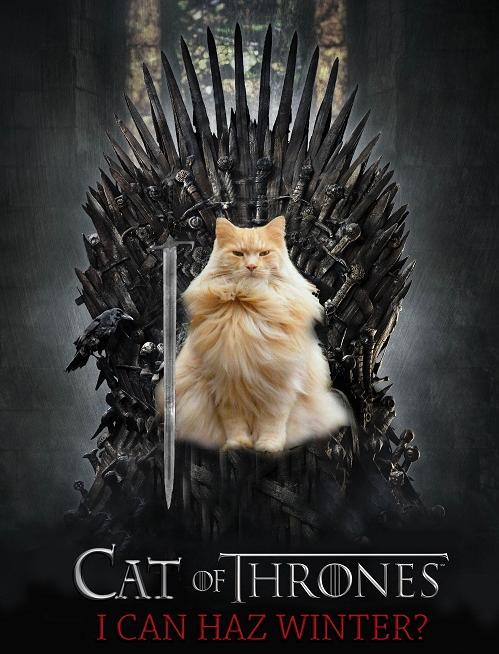 Cat of Thrones