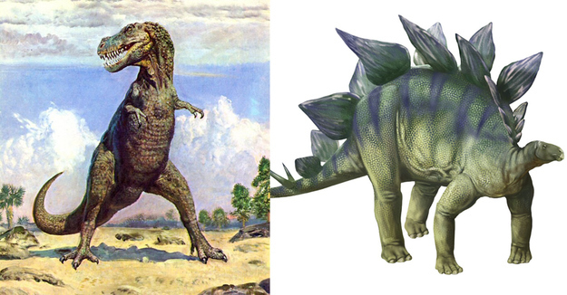 Should we keep going? The difference in time between the Tyrannosaurus Rex and Stegosaurus lived is greater than the difference in time between Tyrannosaurus Rex and now: