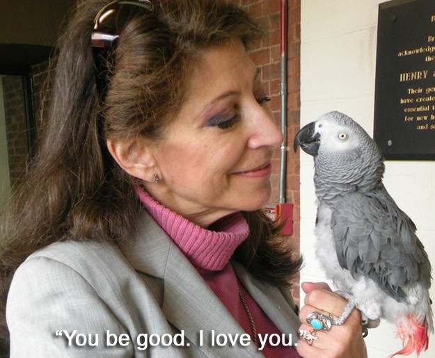 Alex was an African Grey parrot. When he died, his last words to his owner were " You be good. I love you."