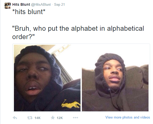 hits blunt meme - 29 Hits Blunt ABlunt Sep 21 hits blunt "Bruh, who put the alphabet in alphabetical order?" 12K View more photos and videos