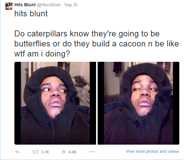 stoner thoughts - 8 Hits Blunt ABlunt Sep 25 hits blunt Do caterpillars know they're going to be butterflies or do they build a cacoon n be wtf am i doing? 2 vun View more photos and videos