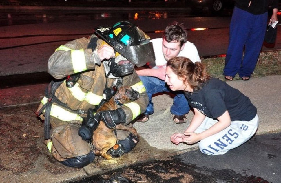 A fire fighter pulls a survivor from a house fire and into the arms of his owners.