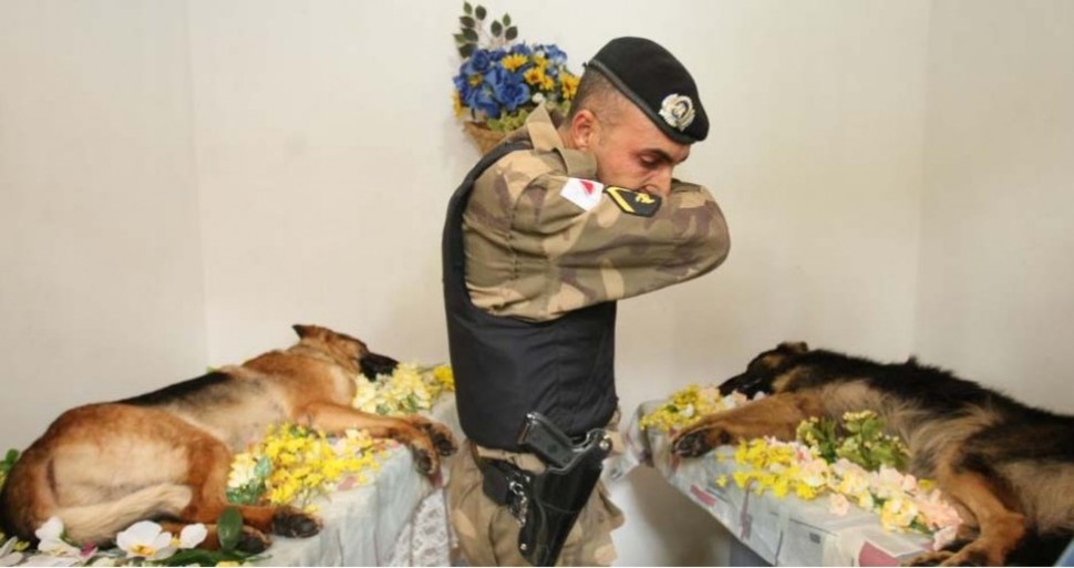 A Portuguese soldier lays two canine comrades to rest.