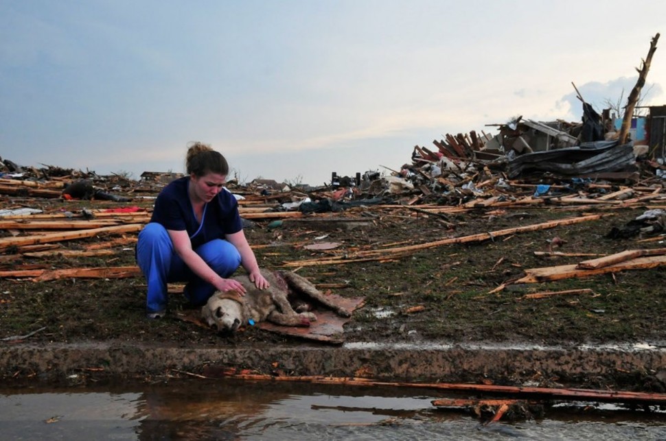 A nurse comforts an injured dog as it lays devastated in the aftermath of a tornado.