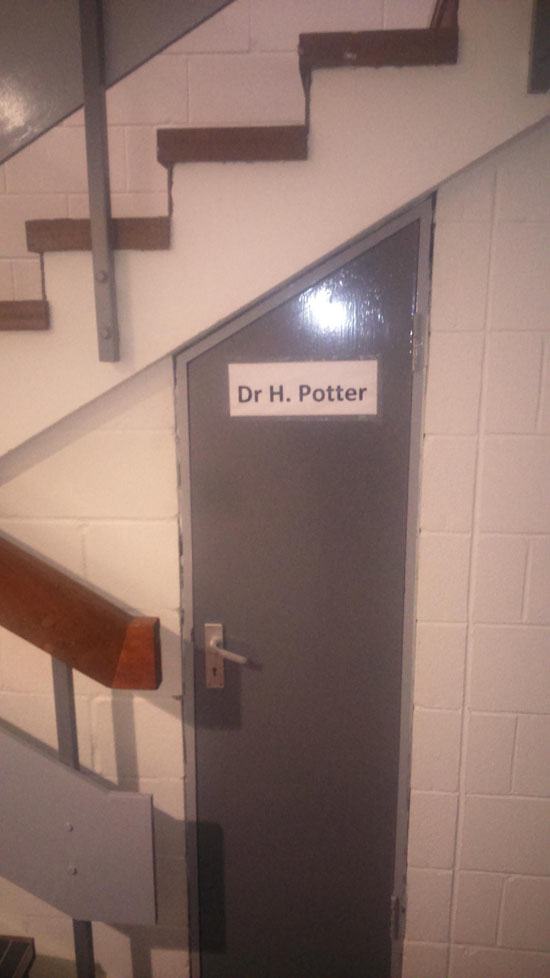 I See What You Did There - Dr H. Potter