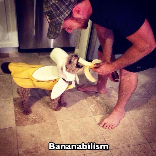 Nuts vs Monsters Fun Holidays - Bananabilism