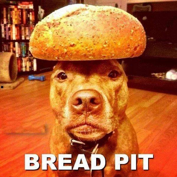 funny bread - Bread Pit