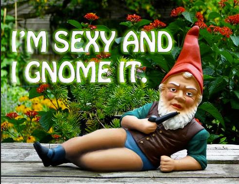 sexy gnome - I'M Sexy And I Gnome It.
