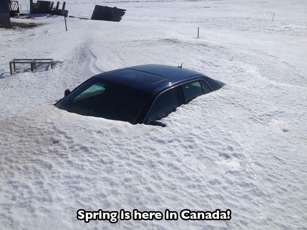 Meanwhile In Canada...