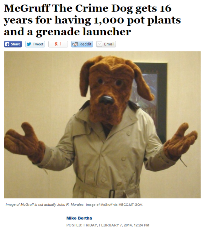 mcgruff crime dog - McGruff The Crime Dog gets 16 years for having 1,000 pot plants and a grenade launcher y Tweet 81 Reddit Email Image of McGruff is not actually John R. Morales. Image of McGruff via Mbcc.Mt.Gov. Mike Bertha Posted Friday, ,