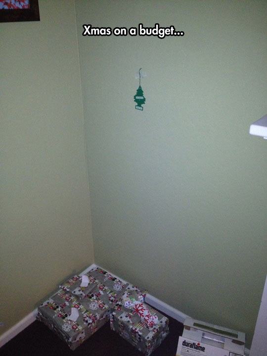 tiny christmas tree funny - Xmas on a budget... duraliame