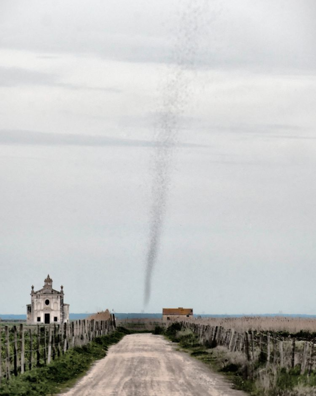 Real Life Mosquito Tornado is far More Terrifying Than Sharknado. While visiting Leziria Grande at Vila Franca de Xira in Portugal recently, photographer Ana Filipa Scarpa noticed something off in the distance that resembled a funnel cloud. But it wasn't a tornado, or even a funnel for that matter. Rather, it was something... alive.