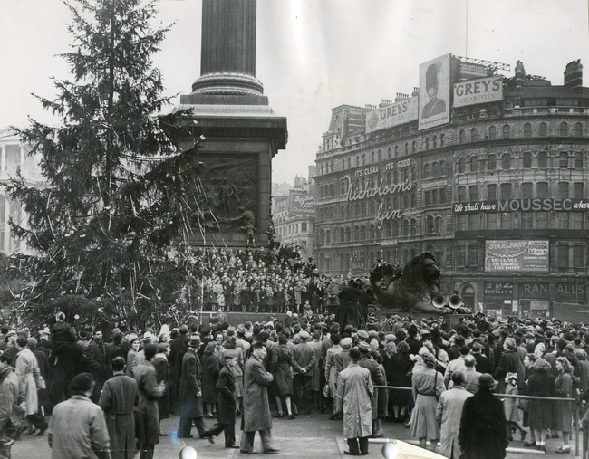 The first Norwegian Christmas tree is raised in Trafalgar Square, London. The city of Oslo has donated a tree to the people of Britain every year since 1947 for their support during World War II. December 18th 1947
