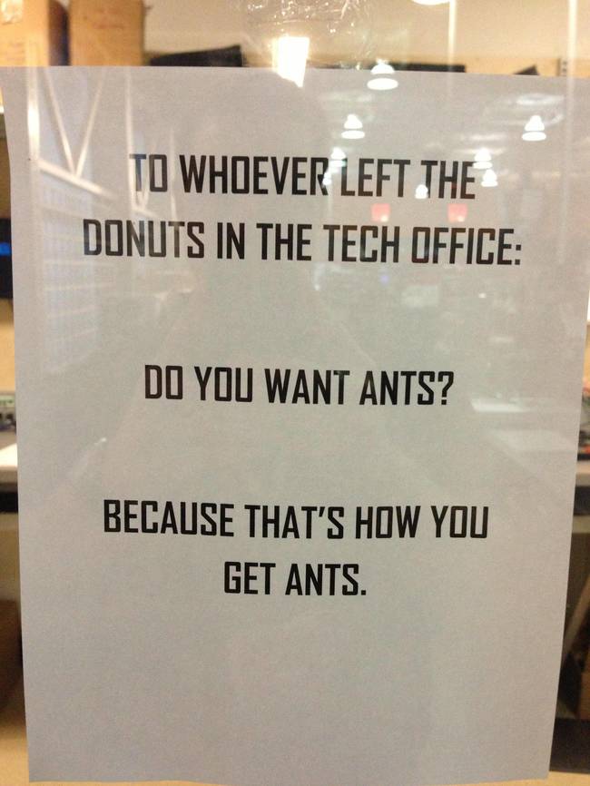 Because That'S How You Get Ants. 