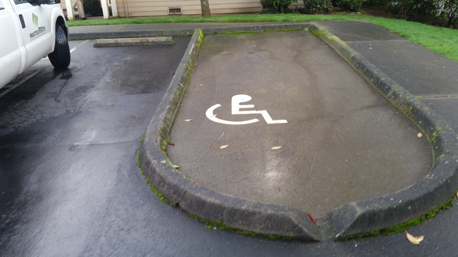 I'll just drive my car and wheelchair over the curb.