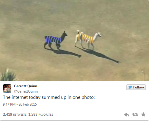 The Internet's 23 Best Reactions To #TheDress