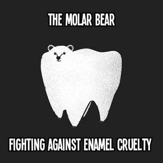 cute bear puns - The Molar Bear Fighting Against Enamel Cruelty