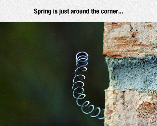spring around the corner - Spring is just around the corner...