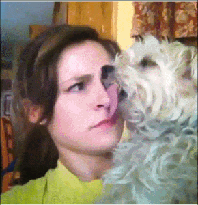 These Pets Who Have No Regard For Your Personal Space