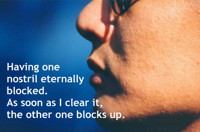 quotes - Having one nostril eternally blocked. As soon as I clear it, the other one blocks up.