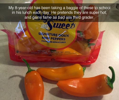 hilarious life hacks - My 8yearold has been taking a baggie of these to school in his lunch each day. He pretends they are super hot, and gains fame as bad ass third grader. weet Signature Poux Mini Peppers Poivnsminlatures Net WT1 Poros