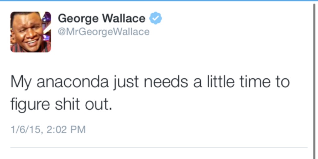 document - George Wallace Wallace My anaconda just needs a little time to figure shit out. 1615,