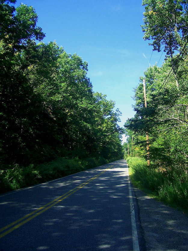 Clinton Road - The most terrifying road in the US, it’s home to the “many legends of paranormal occurrences such as sightings of ghosts, strange creatures and gatherings of witches, Satanists, and America’s “longest traffic light wait.” So you can’t even escape quickly, brilliant.
