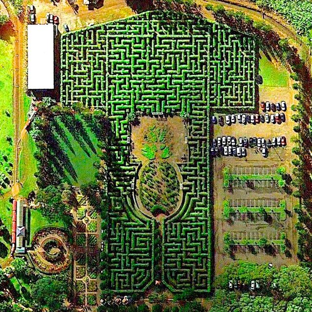 Pineapple Garden Maze Wahiawa, Hawaii, USA. The Pineapple Garden Maze at the Dole Plantation in Wahiawa, Hawaii, USA is one of the world’s largest mazes. The labyrinth stretches over three acres and includes nearly two and a half miles of paths crafted from 14,000 plants.