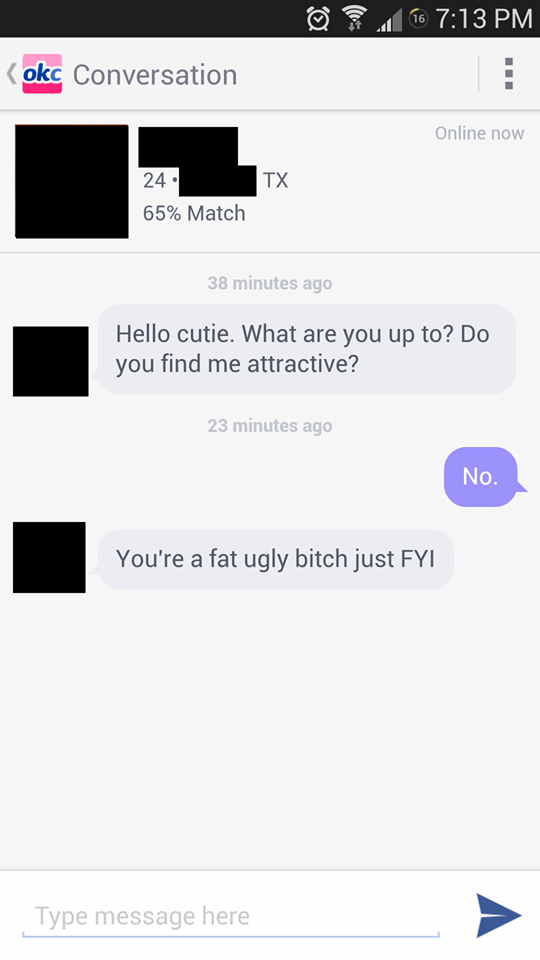 screenshot - 16 Kokc Conversation Online now Tx 24. 65% Match 38 minutes ago Hello cutie. What are you up to? Do you find me attractive? 23 minutes ago No. You're a fat ugly bitch just Fyi Type message here