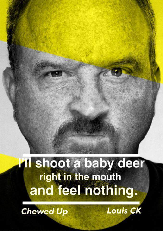 12 Hilarious Quotes From Louis C.K.