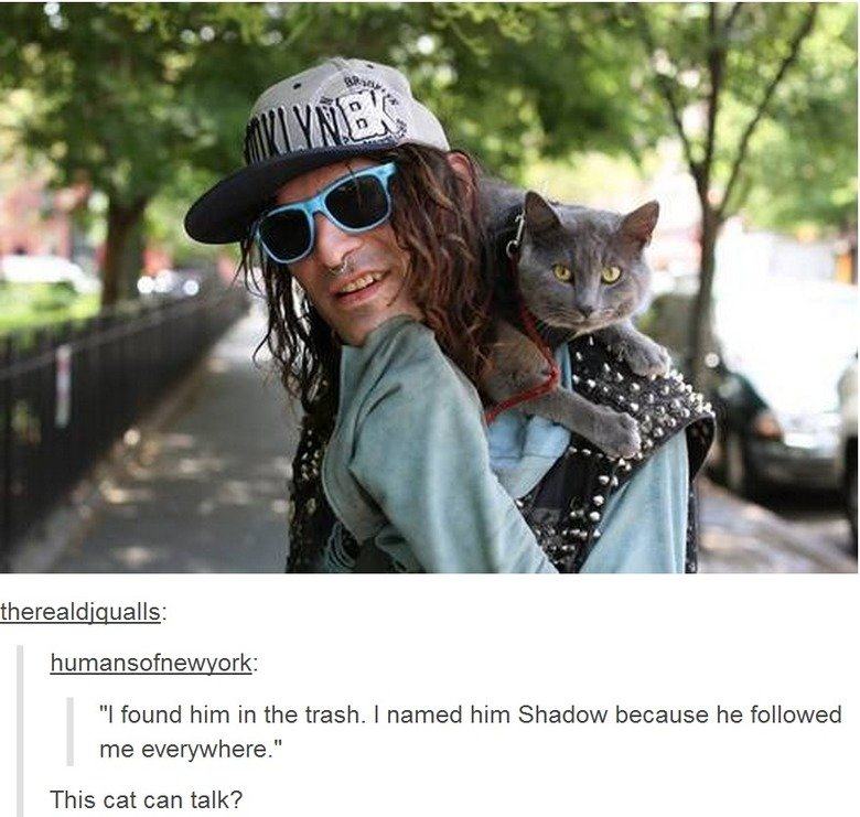 tumblr - pet - Vyni therealdiqualls humansofnewyork "I found him in the trash. I named him Shadow because he ed me everywhere." This cat can talk?
