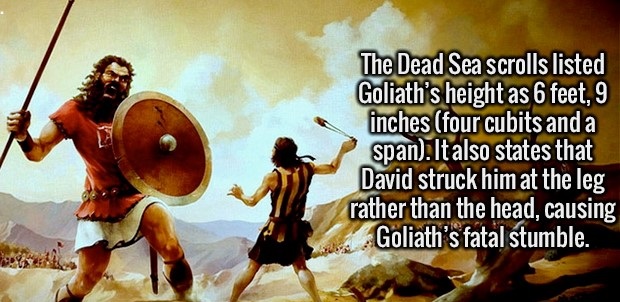 david vs goliath meme - The Dead Sea Scrolls listed Goliath's height as 6 feet, 9 inches four cubits and a span. It also states that David struck him at the leg rather than the head, causing Goliath's fatal stumble.