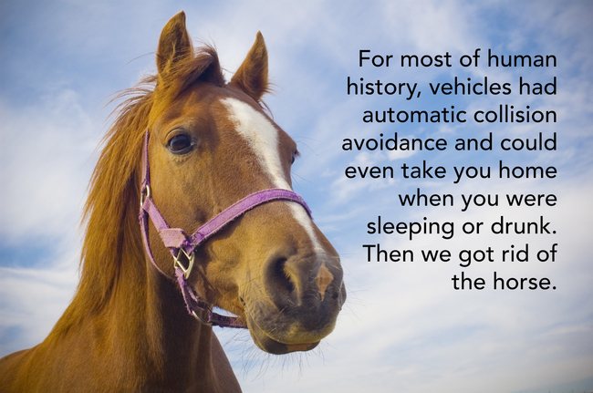 showerthoughts  - halter - For most of human history, vehicles had automatic collision avoidance and could even take you home when you were sleeping or drunk. Then we got rid of the horse.
