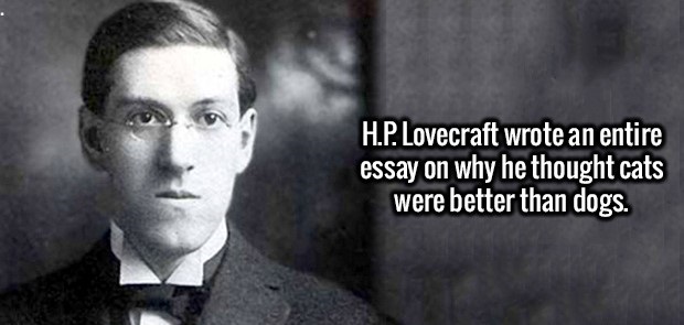 howard phillips lovecraft - H.P. Lovecraft wrote an entire essay on why he thought cats were better than dogs.