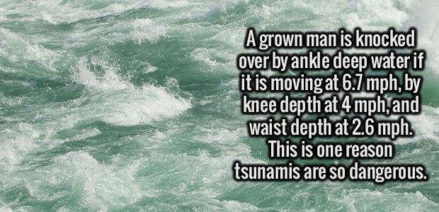 A grown man is knocked over by ankle deep water if it is moving at 6.7 mph, by knee depth at 4 mph, and waist depth at 2.6 mph. This is one reason tsunamis are so dangerous.