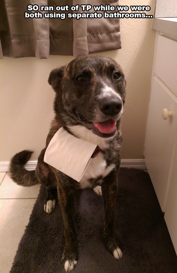 snout - So ran out of Tp while we were both using separate bathrooms.....