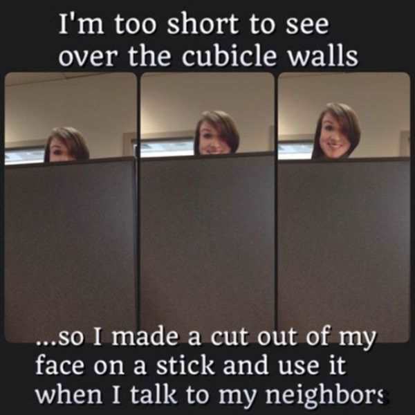 short people problems funny - I'm too short to see over the cubicle walls ...So I made a cut out of my face on a stick and use it when I talk to my neighbors