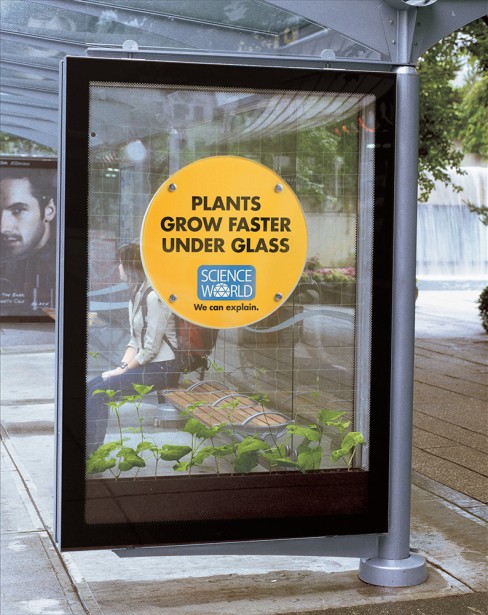 science guerilla marketing - Plants Grow Faster Under Glass Science World We can explain.