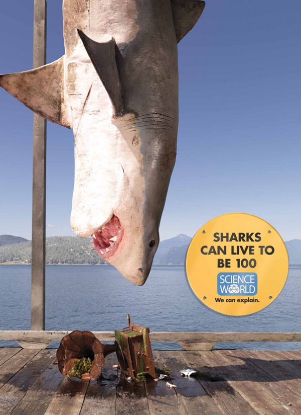 science ads - Sharks Can Live To Be 100 Science World We can explain.