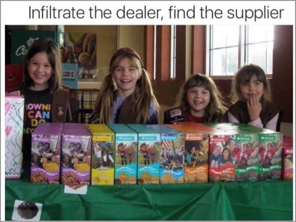 meme stream - girl scout cookies - Infiltrate the dealer, find the supplier Owni Can Do