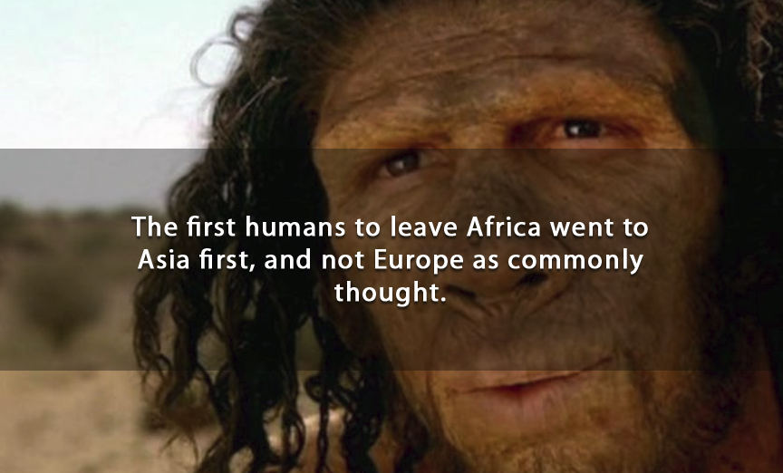 31 Impressive Facts To Intrigue Your Mind