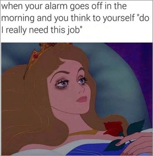 meme stream - need sleep meme - when your alarm goes off in the morning and you think to yourself "do I really need this job"