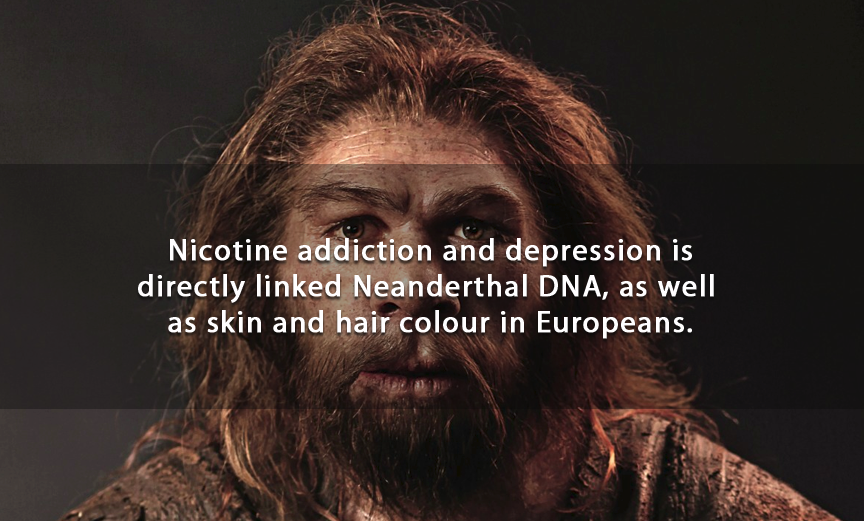 funny neanderthal - Nicotine addiction and depression is directly linked Neanderthal Dna, as well as skin and hair colour in Europeans.
