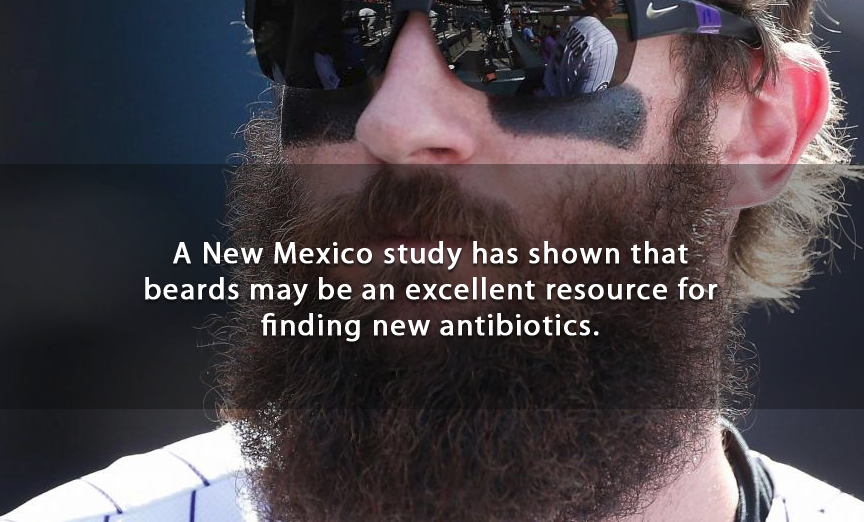 bearded men - A New Mexico study has shown that beards may be an excellent resource for finding new antibiotics.